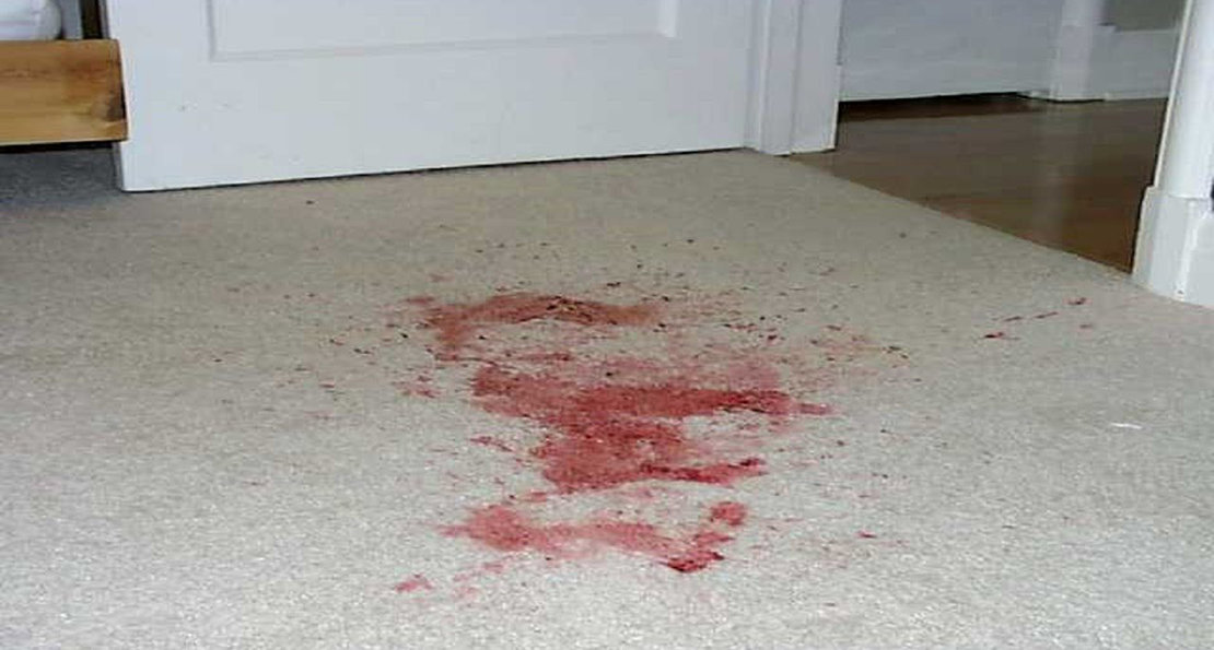 Blood Spills on Carpeted Floors